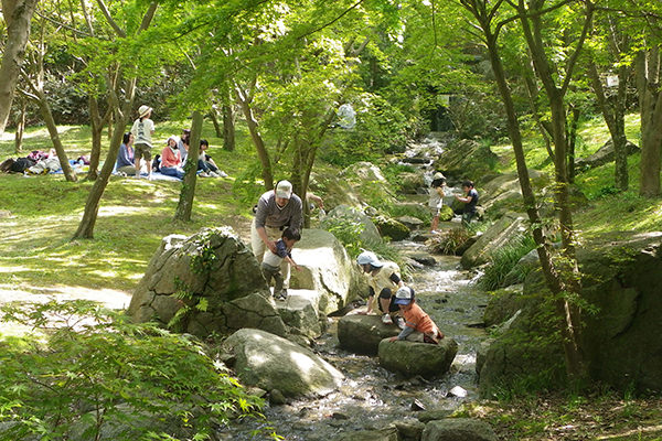 涸沼自然公園
